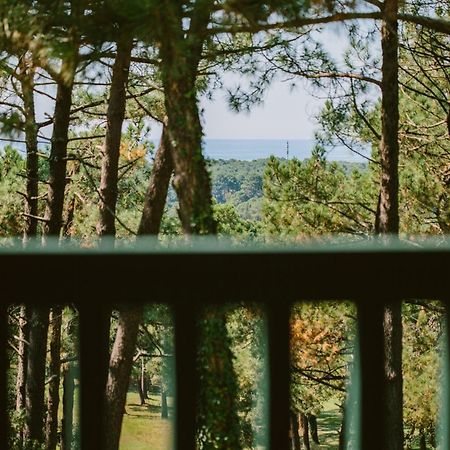 70 Hectares... Et L'Ocean Hotell Seignosse Eksteriør bilde
